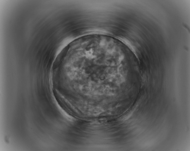 X0000091351391200708311507