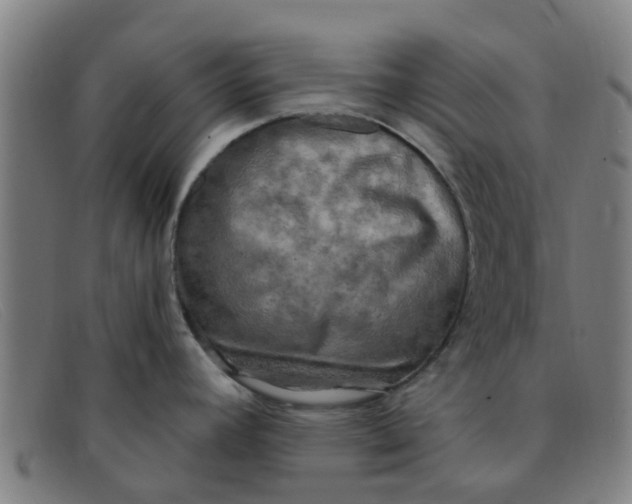 X0000091351392200708311507