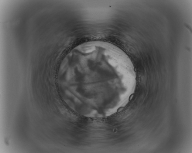 X0000091351393200708311507