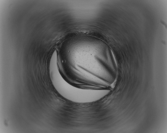 X0000091351394200708311507
