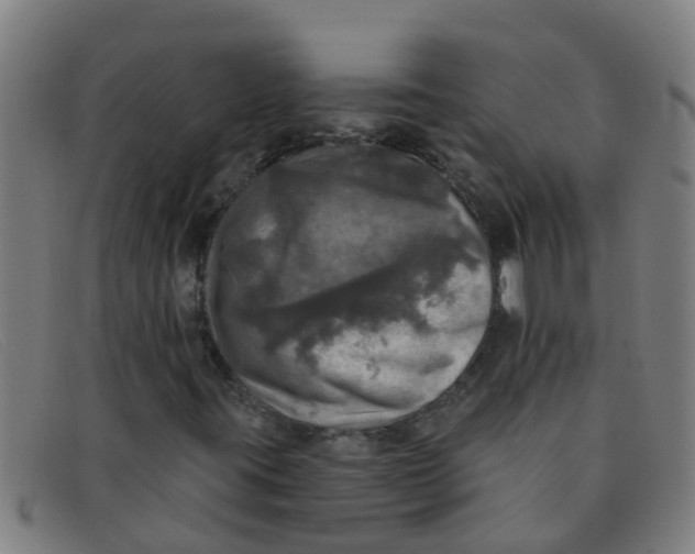 X0000091351395200708311507