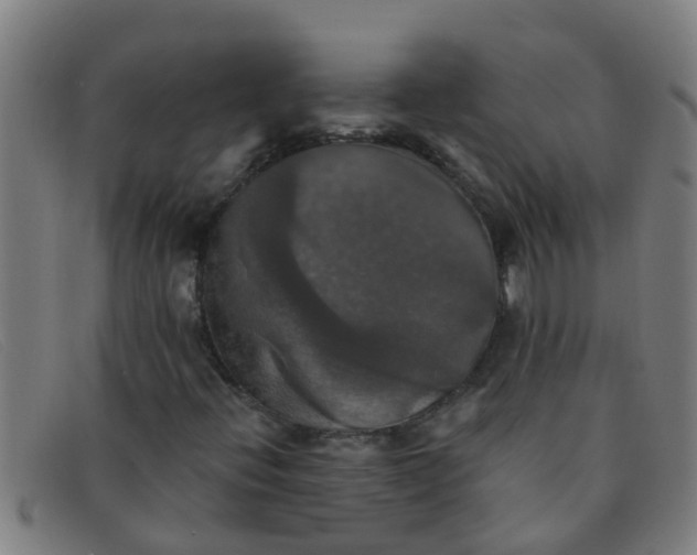 X0000091351396200708311507