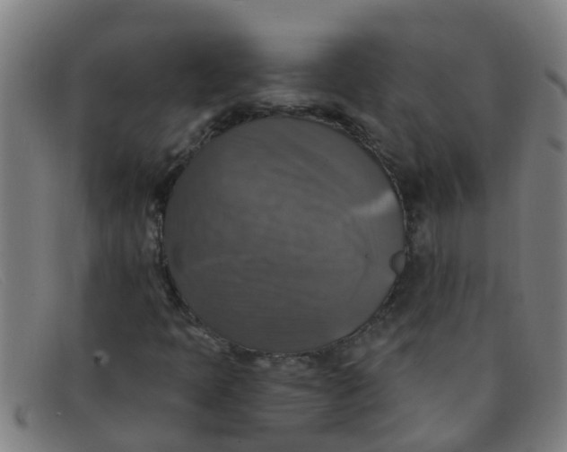 X0000091351397200708311507