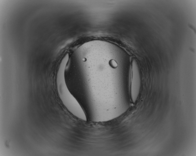 X0000091351398200708311507