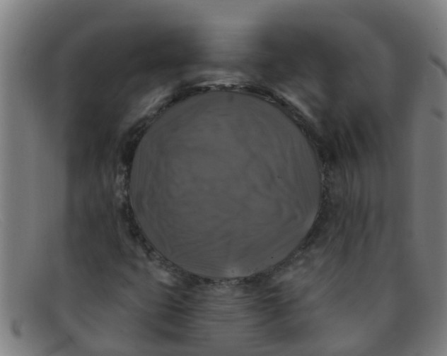 X0000091351399200708311507