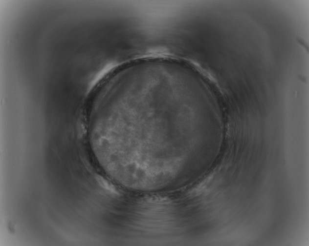 X0000091351400200708311507
