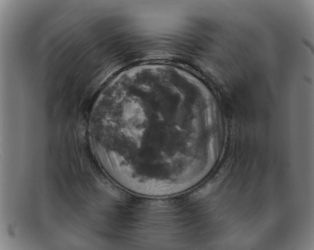 X0000091351401200708311507