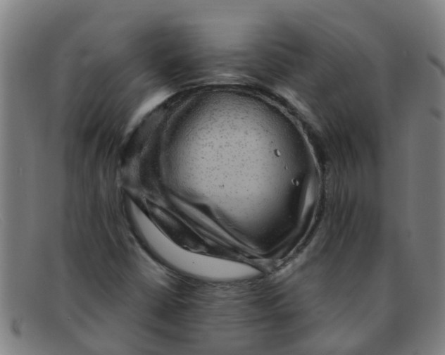 X0000091351402200708311507