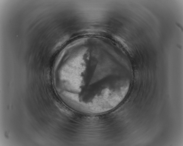 X0000091351403200708311507