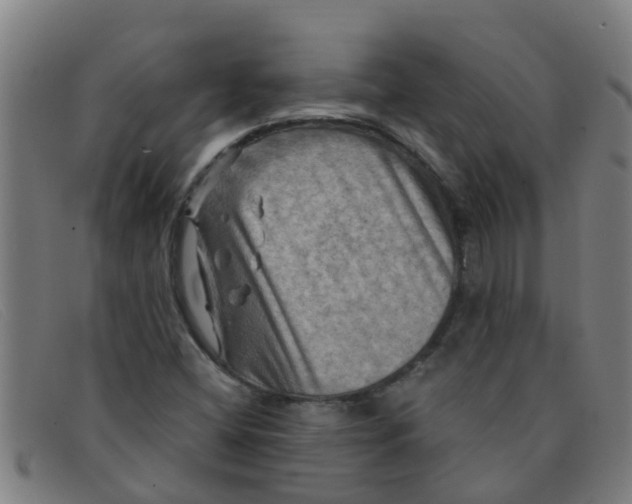 X0000091351404200708311507