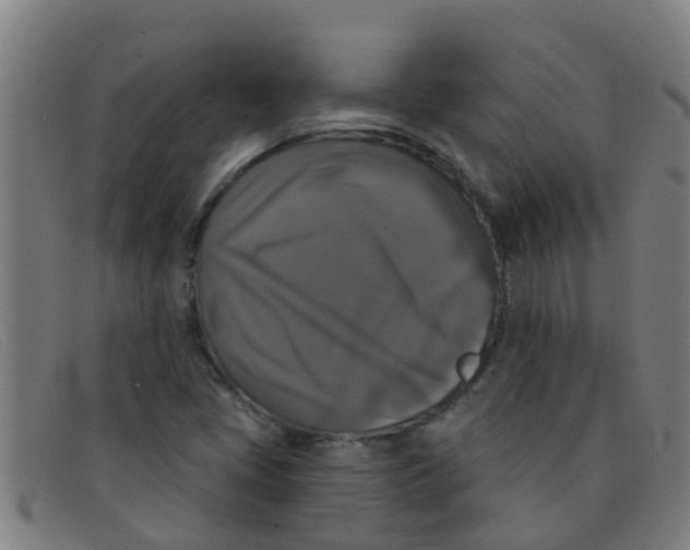X0000091351405200708311507