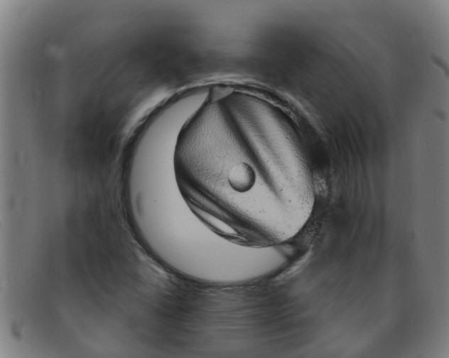 X0000091351406200708311507