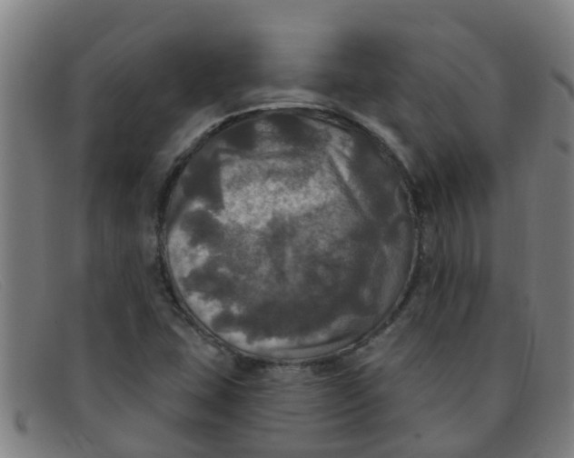 X0000091351407200708311507