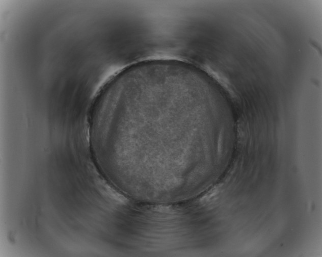 X0000091351408200708311507