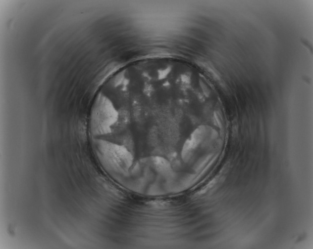 X0000091351409200708311507
