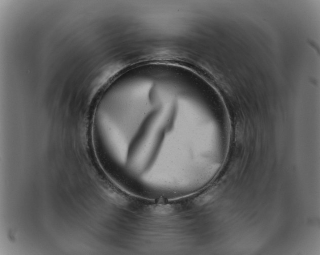 X0000091351410200708311507