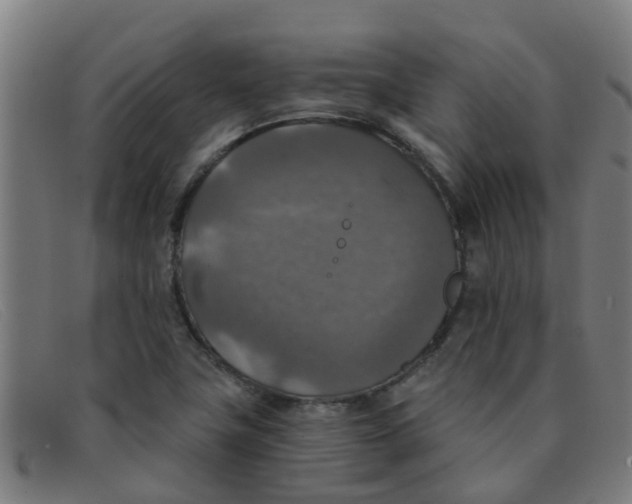 X0000091351411200708311507