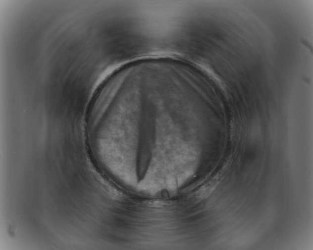 X0000091351412200708311507