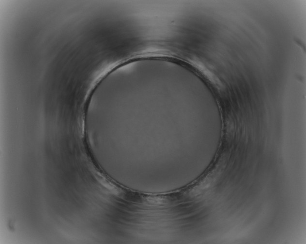 X0000091351413200708311507