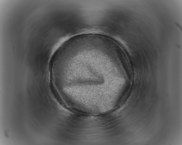 X0000091351414200708311507