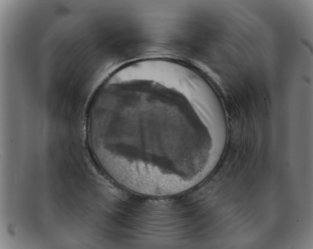 X0000091351415200708311507