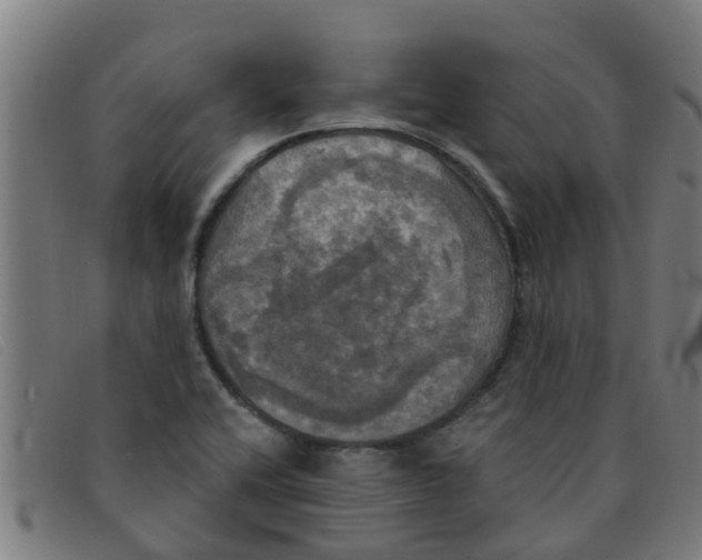 X0000091351416200708311507