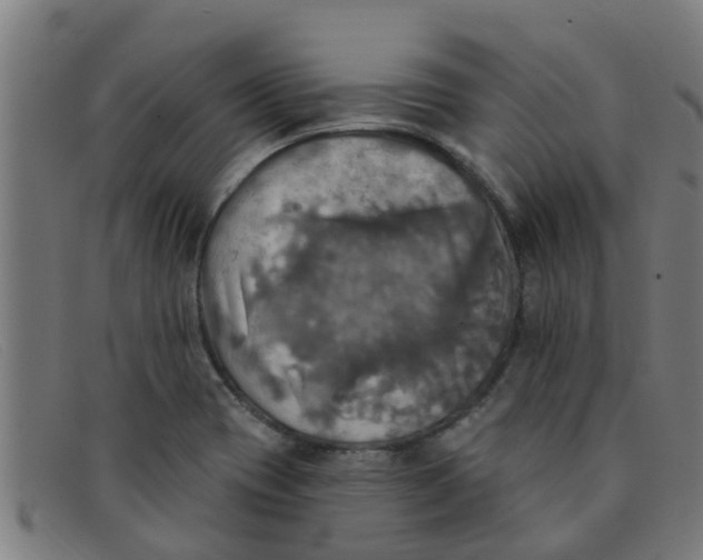 X0000091351417200708311507