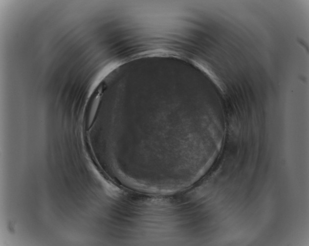 X0000091351418200708311507