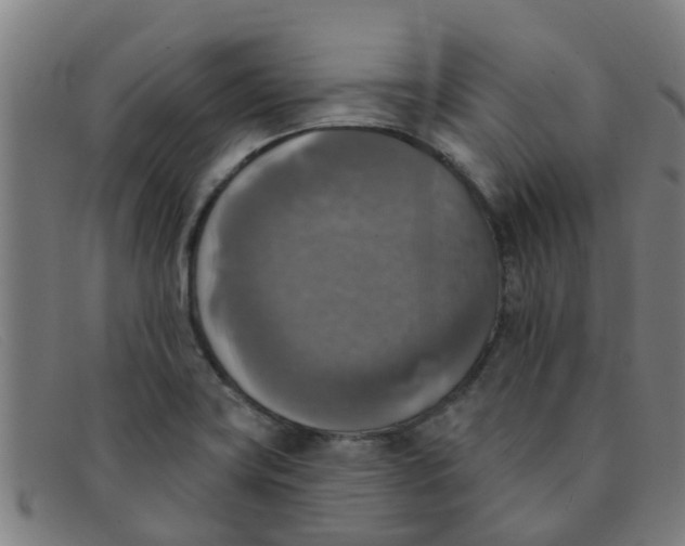 X0000091351419200708311507