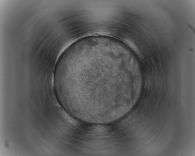 X0000091351420200708311507