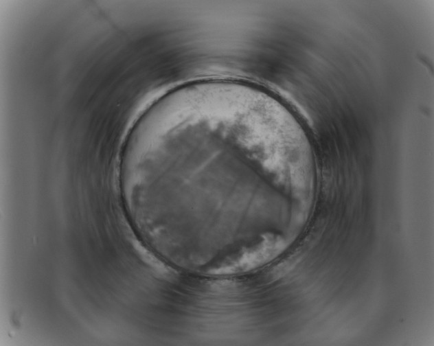 X0000091351421200708311507
