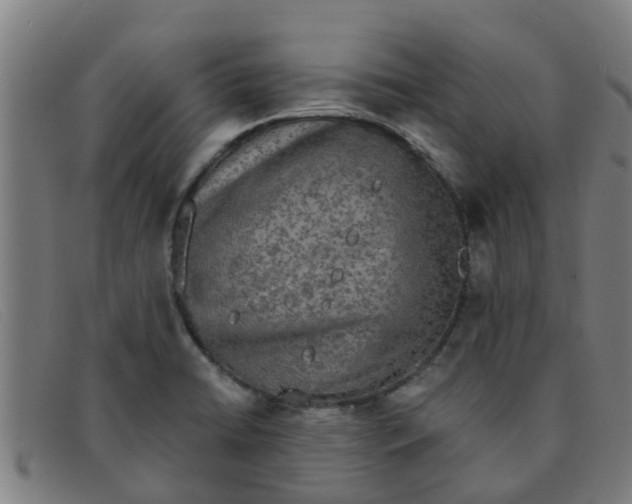 X0000091351422200708311507