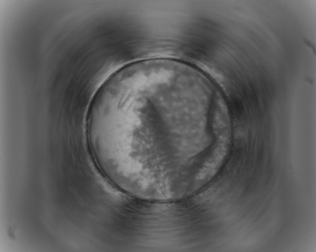 X0000091351423200708311507