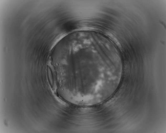 X0000091351425200708311507