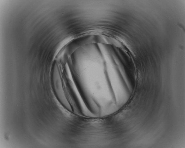 X0000091351426200708311507