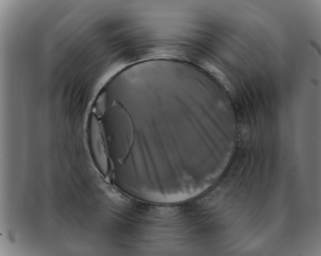 X0000091351427200708311507