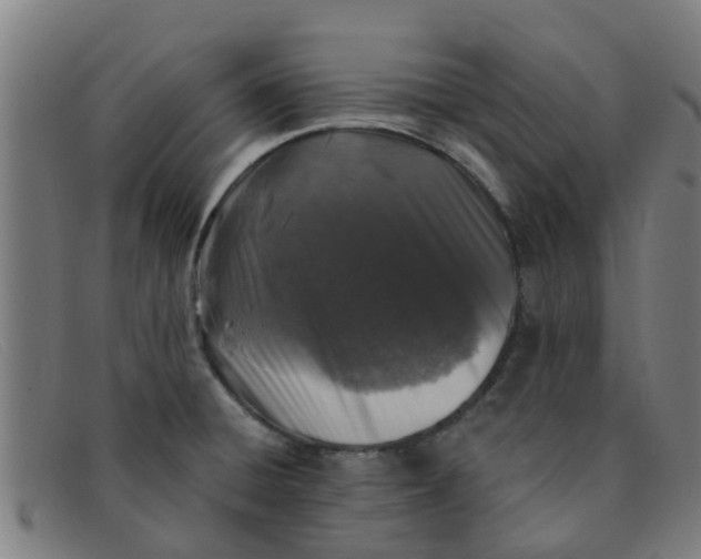 X0000091351428200708311507