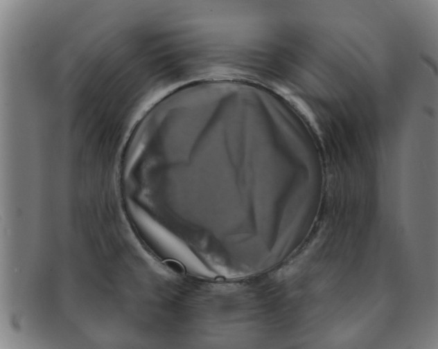 X0000091351429200708311507