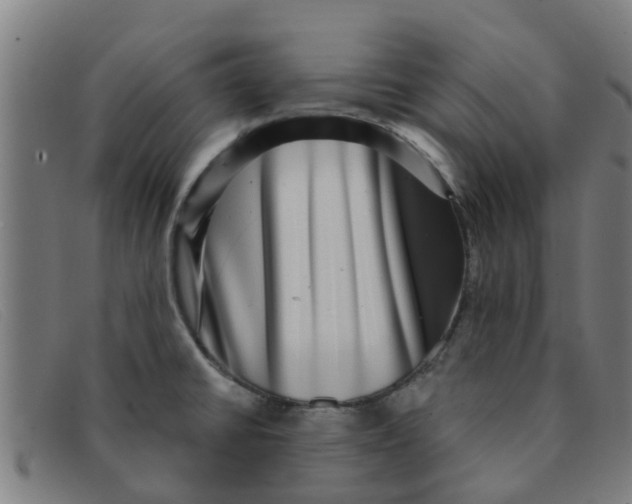 X0000091351430200708311507