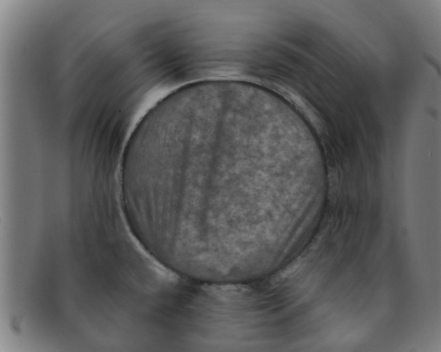 X0000091351432200708311507