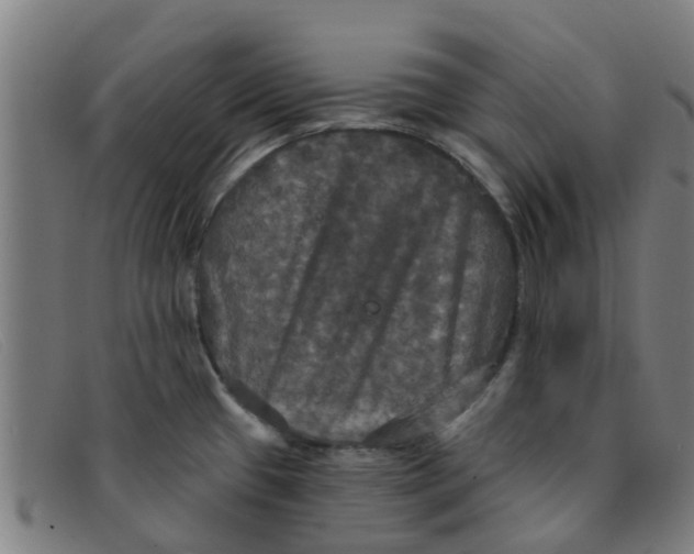 X0000091351433200708311507