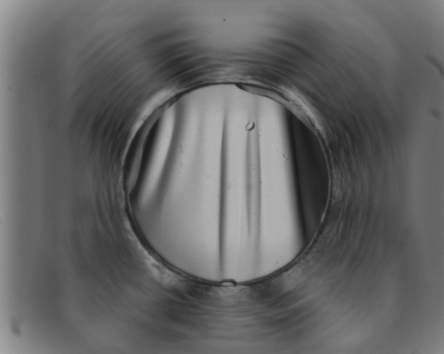 X0000091351434200708311507