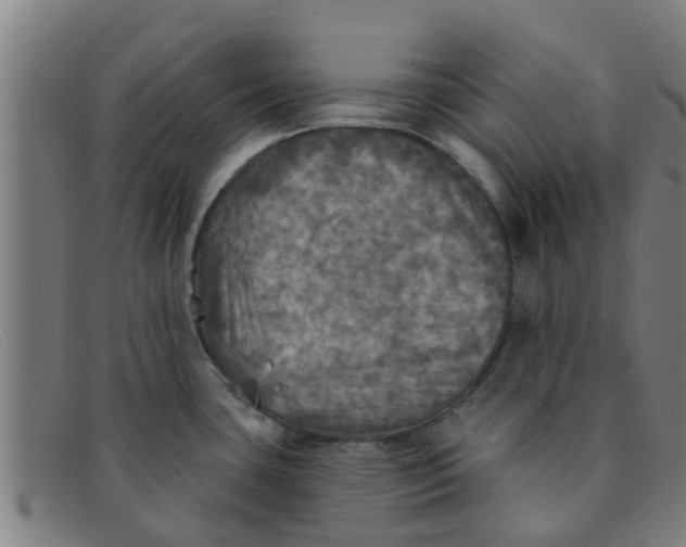 X0000091351435200708311507