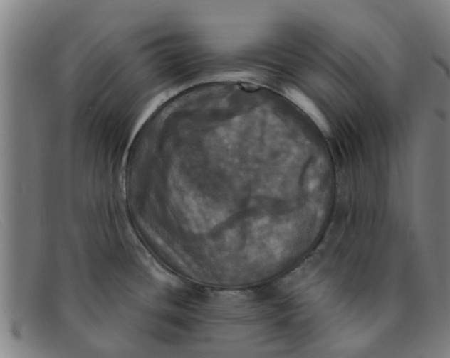 X0000091351436200708311507