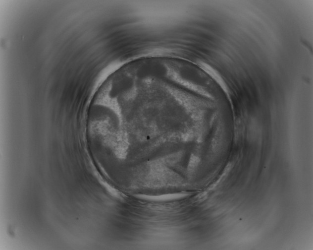 X0000091351437200708311507