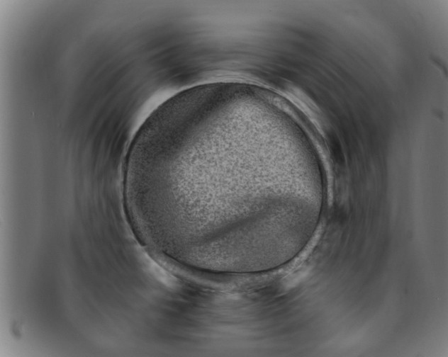X0000091351438200708311507