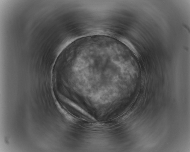 X0000091351439200708311507