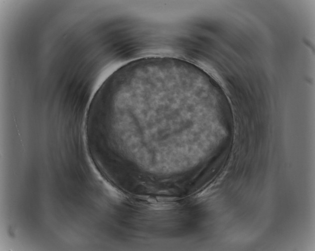 X0000091351440200708311507