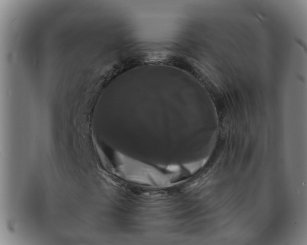 X0000091351441200708311507