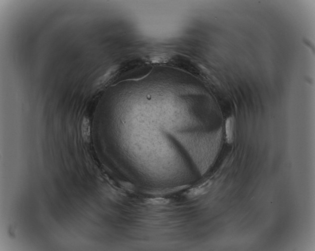 X0000091351443200708311507